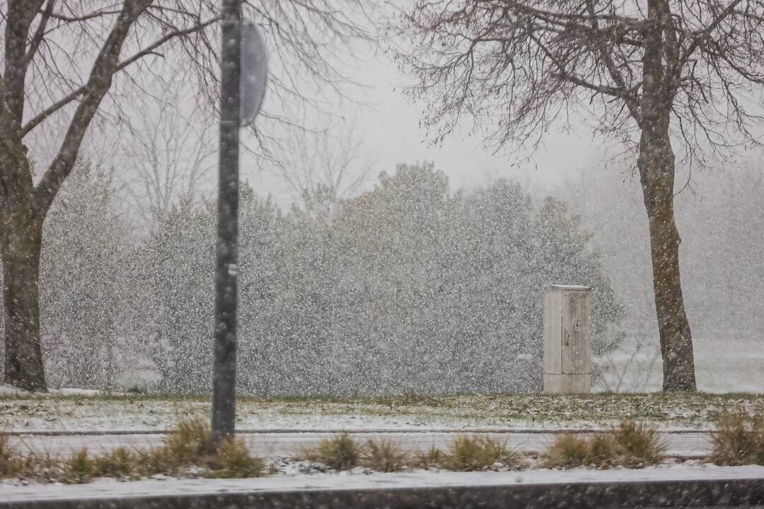 Kauną nuklojo balta sniego skraistė
