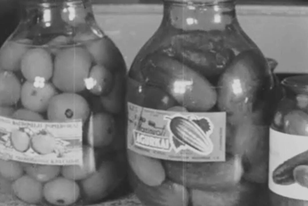 Marinuoti agurkai su ąžuolo lapais – juos pristato su nostalgiško dizaino riboto tiražo etiketėmis: šių ypatingų stiklainių tebus pagaminta 100 000.