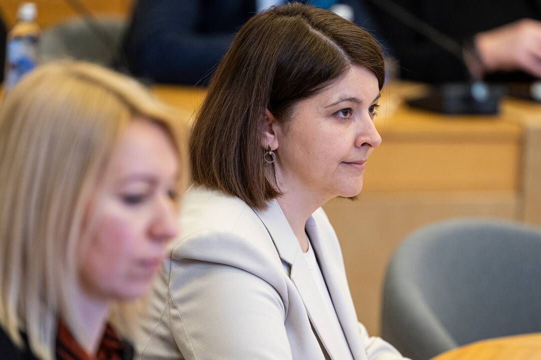 Premjerė susitiko su partijų ir verslo atstovais dėl gynybos mokesčio