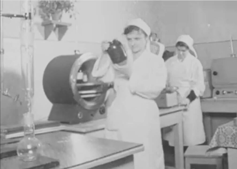 Marinuoti agurkai su ąžuolo lapais – juos pristato su nostalgiško dizaino riboto tiražo etiketėmis: šių ypatingų stiklainių tebus pagaminta 100 000.