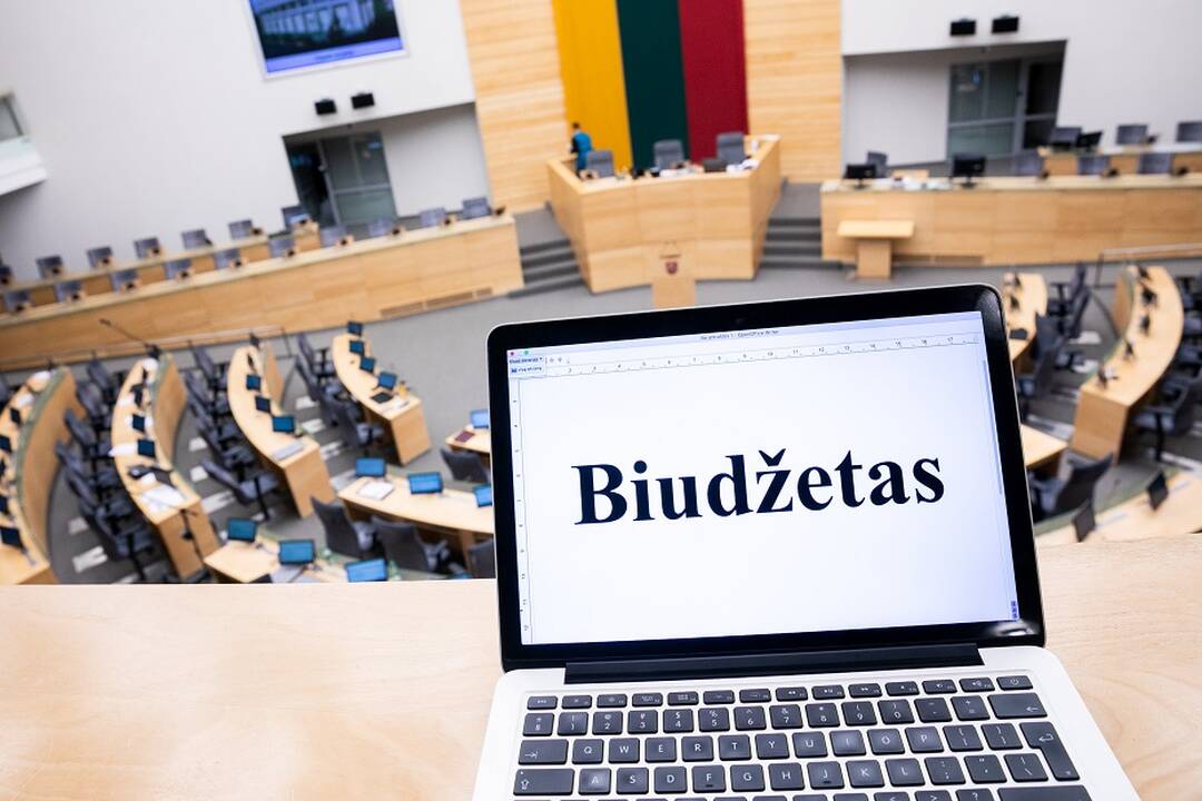 Seimas ėmėsi 2025 metų valstybės biudžeto projekto