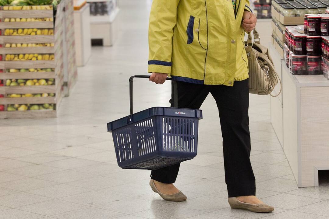 EK blogina šių metų Lietuvos ekonomikos augimo prognozę: ko tikėtis?