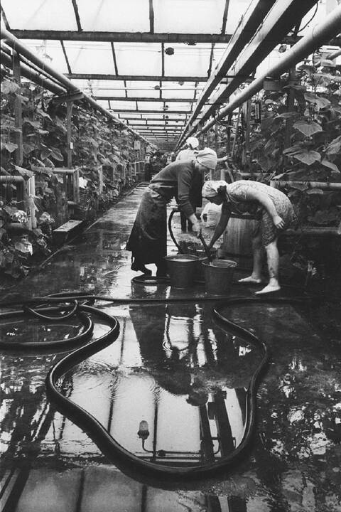 Vestuvių vakarą. Palanga. 1974 m.