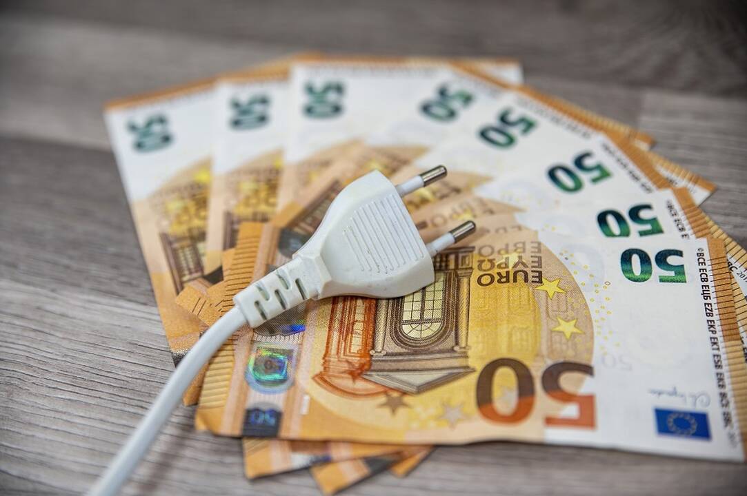 Seime skinasi kelią visuomeninė elektra smulkiems, pažeidžiamiems vartotojams