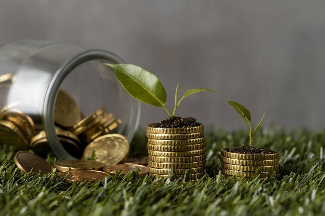 Tvarioms investicijoms Kauno regione pritraukti – įspūdinga suma