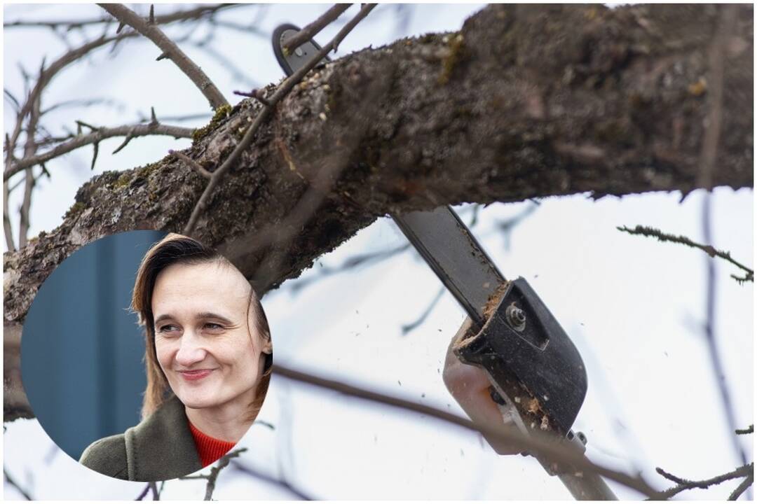 Čmilytė-Nielsen dėl mokesčių reformos: pjaunama šaka...