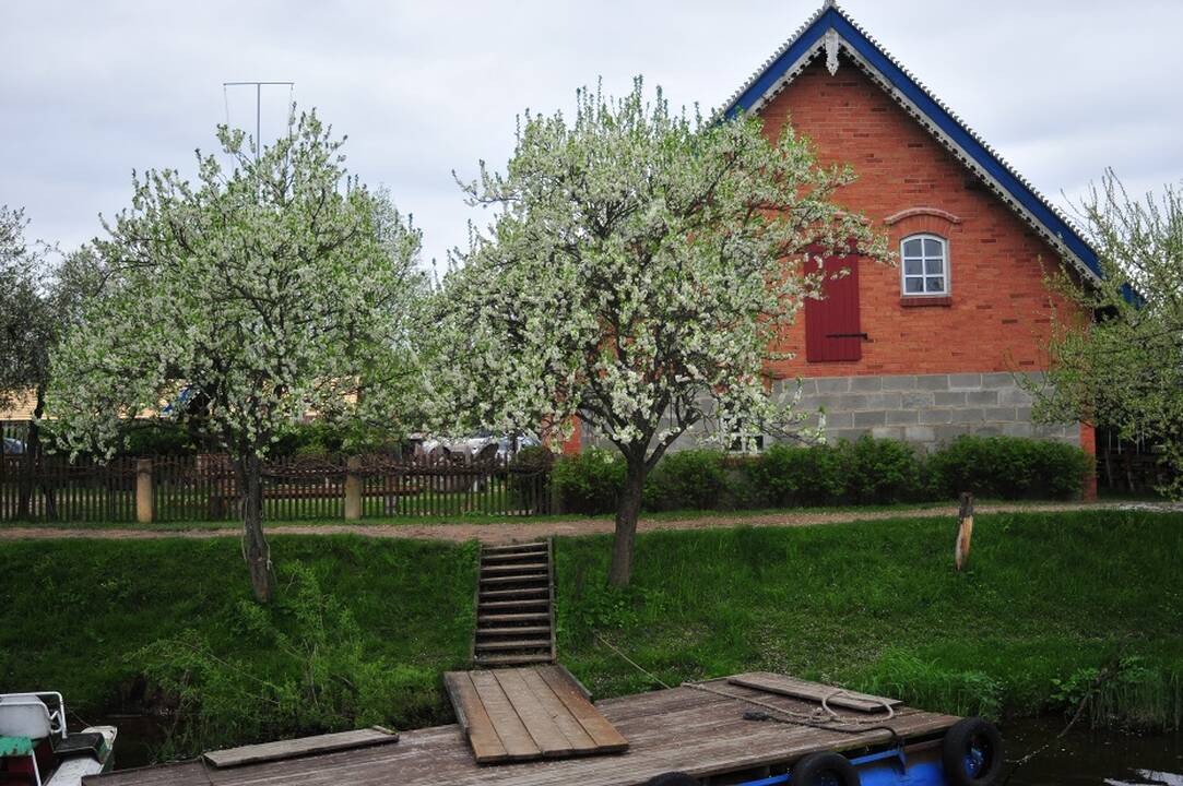 Asociacijos prezidentė: kaime situacija yra dar blogesnė nei maitinimo sektoriuje