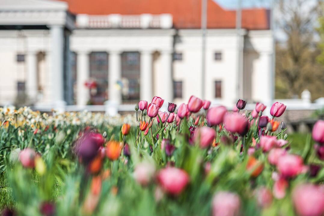 Ypatumas: Pakruojo dvarą išskirtinį daro ne tik floros gausa, bet ir derinys su aplinka.