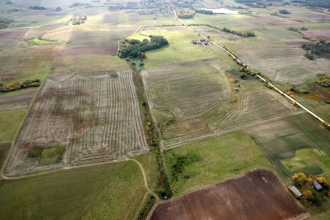 Valstybinių miškų urėdijai – 15 tūkst. ha valstybinės žemės