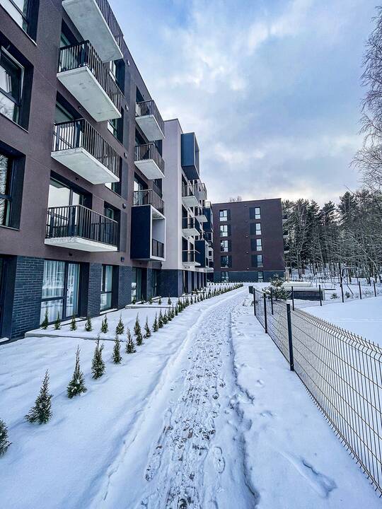 Projektas „Visi savi by CITUS“. 