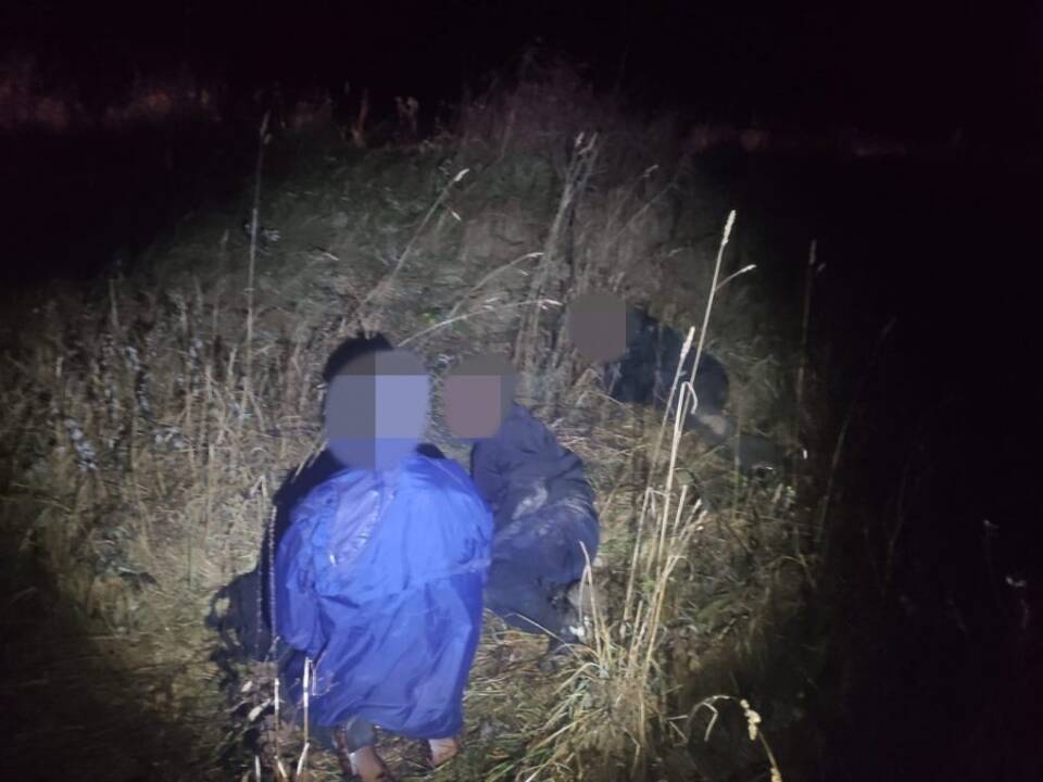 Prie Druskininkų sulaikytas du afganistaniečius vežęs lenkas