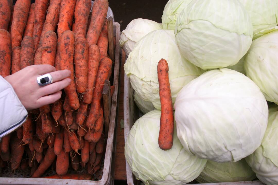 Pataria rimtai taupyti žiemai: prieš eidami pirkti maisto – pasiruoškite