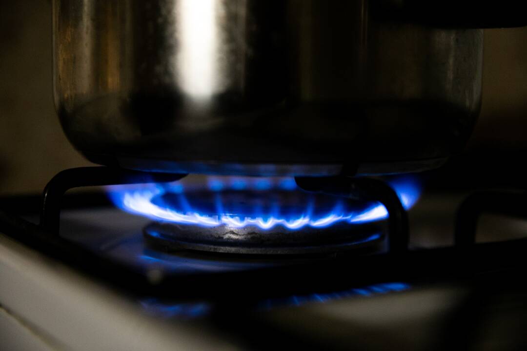 Seimui pateikta nauja elektros ir dujų kainų kompensavimo tvarka