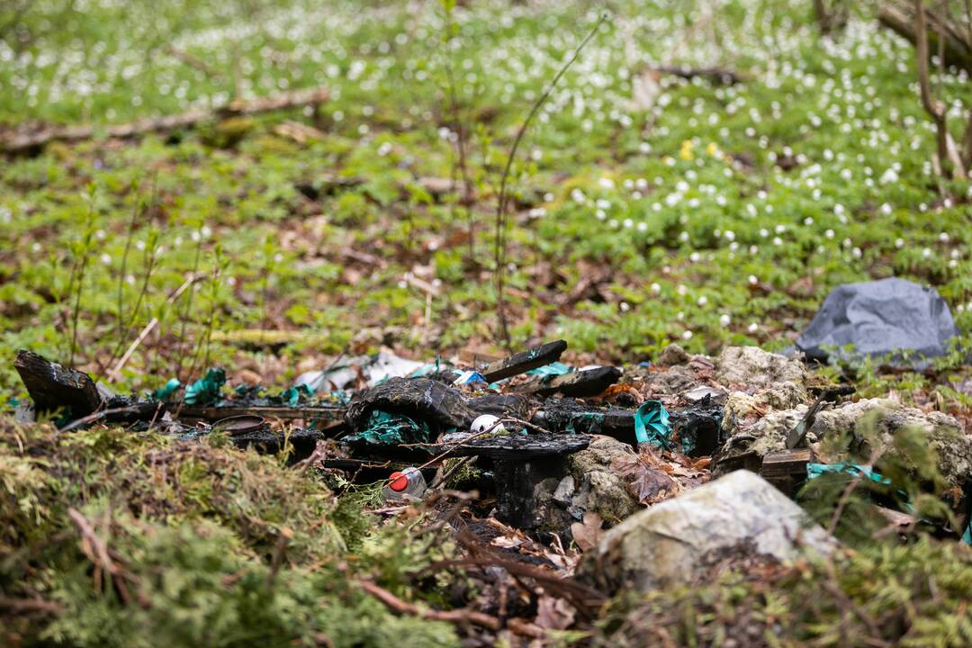 Tvarkymo talkoje „Miško kuopa“ surinkta tonos šiukšlių