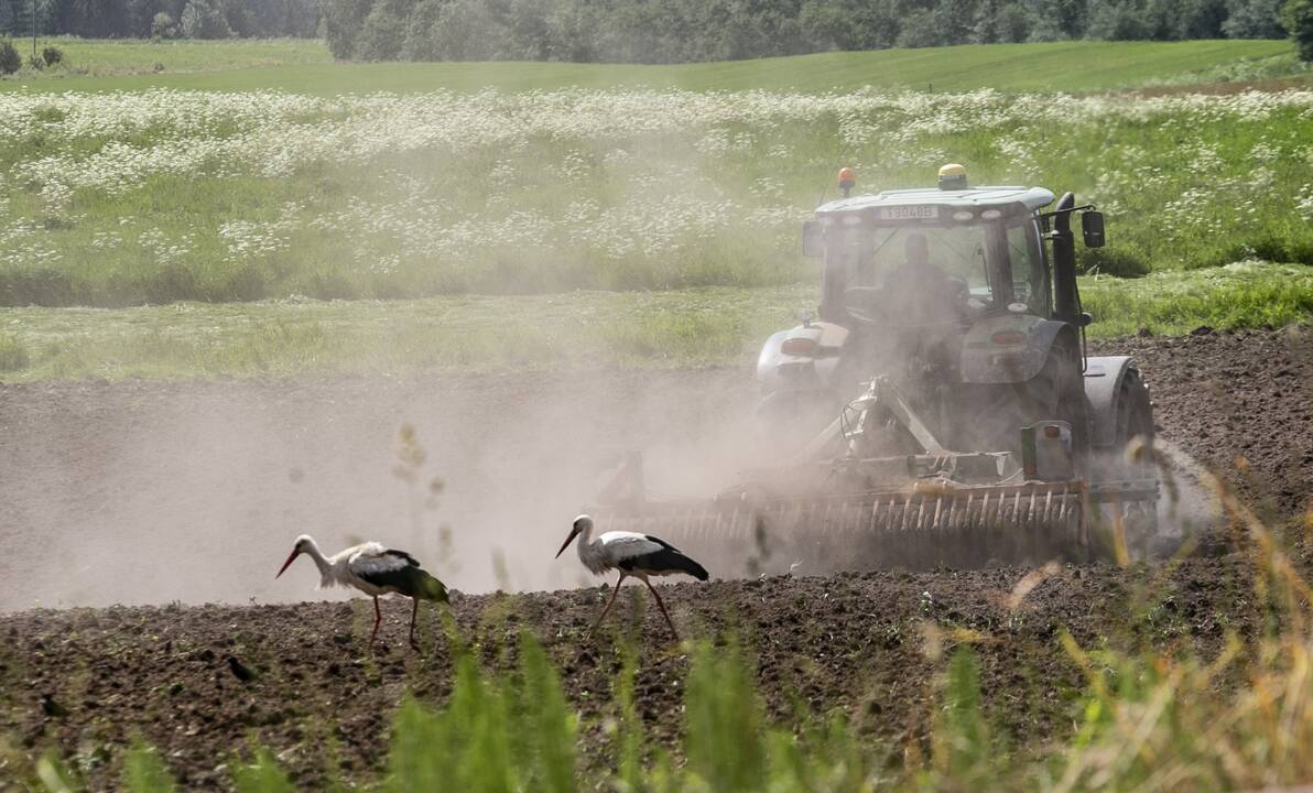 Siūloma kitąmet ūkininkams netaikyti kai kurių reikalavimų