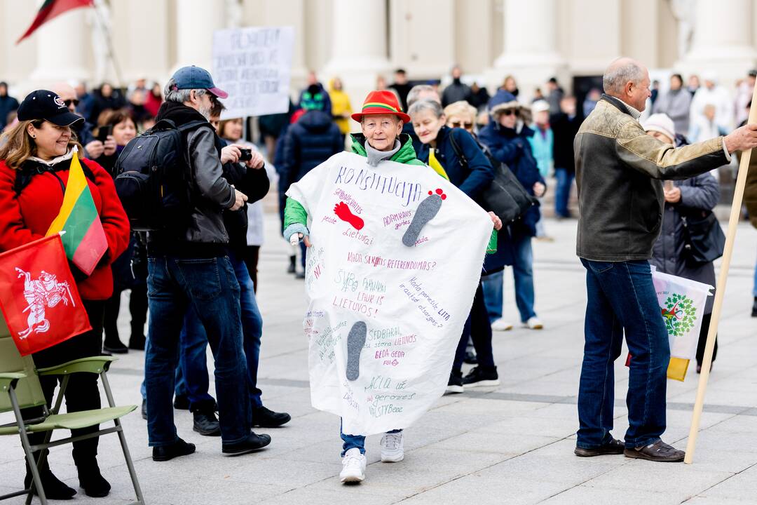 Lietuvos šeimų sąjūdžio mitingas