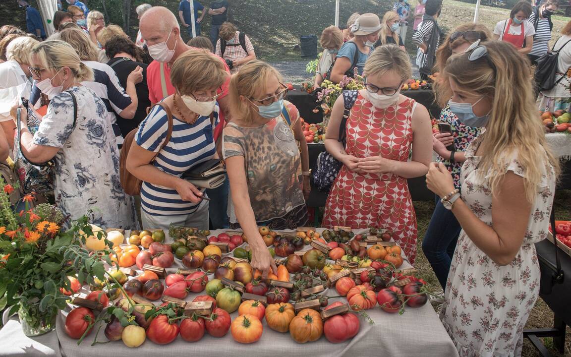 Sinergija: prie pakaunės fortų patrauklumo prisidėjo ir menininkai.
