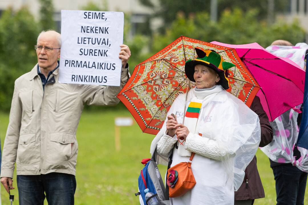 Šeimų sąjūdis mitinguodami žada ginti Konstituciją: leidimas išduotas 15 tūkst. žmonių