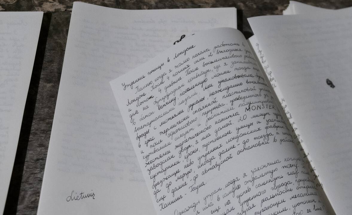 M. Nemčenko, V. Paplausko nuotr.