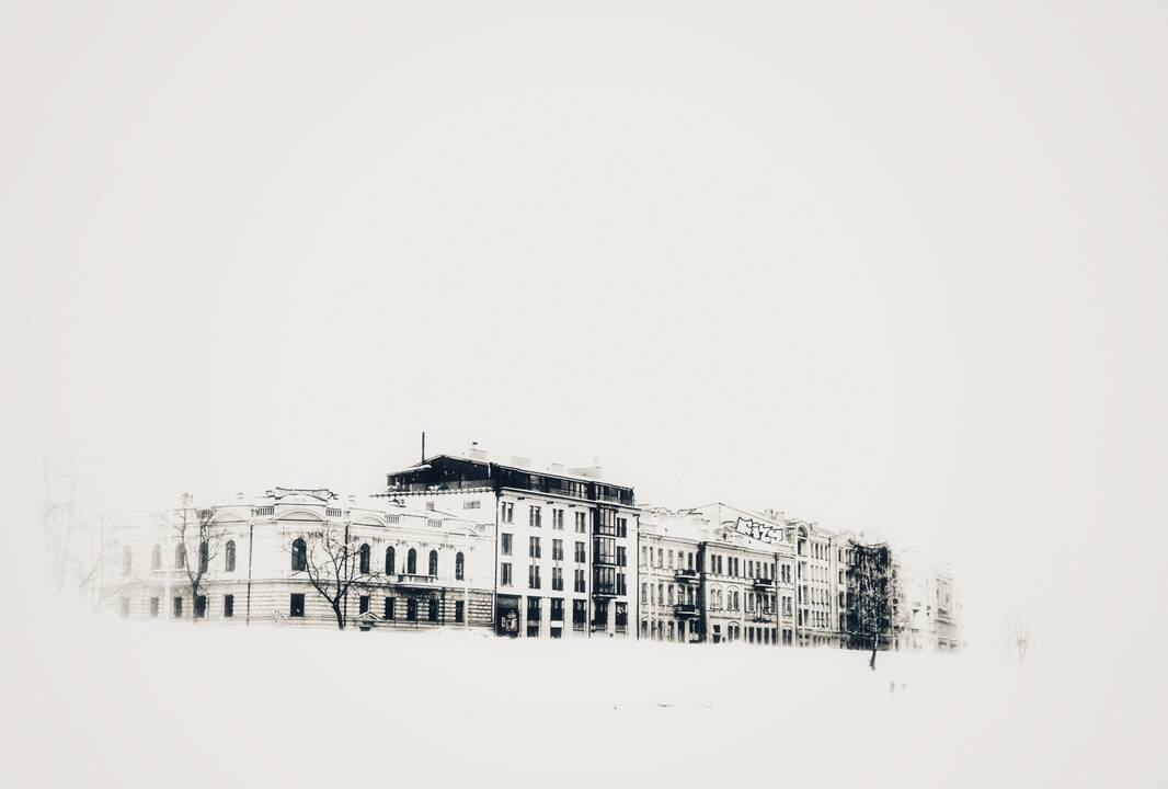 Pasirinkimas: atsisveikinusi su žurnalistika, J.Staučienė visa galva paniro į fotografiją.