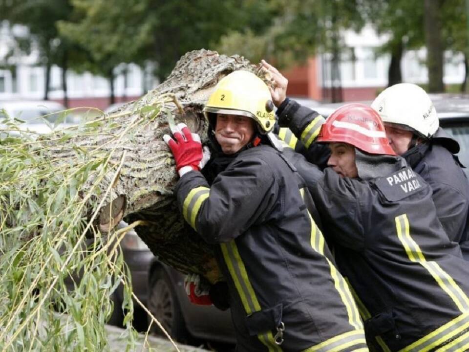 Savaitgalį ugniagesiai 121 kartą vyko šalinti nuvirtusių medžių