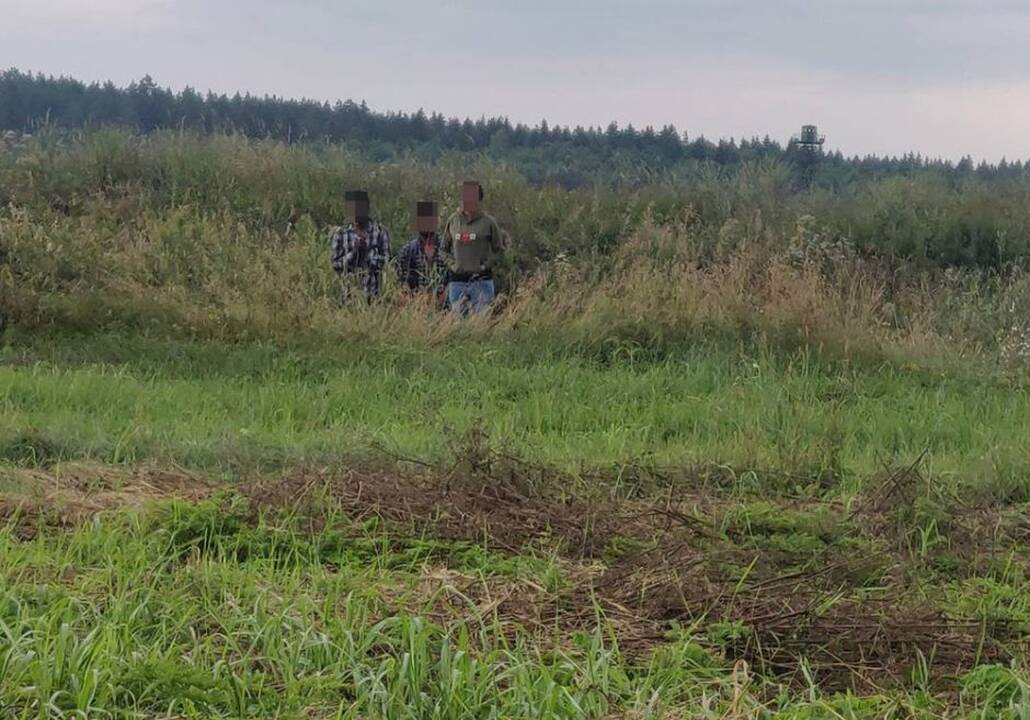 Į Lietuvą neįleisti 97 migrantai: trys mėgino gudrauti – vyko maršrutiniu autobusu