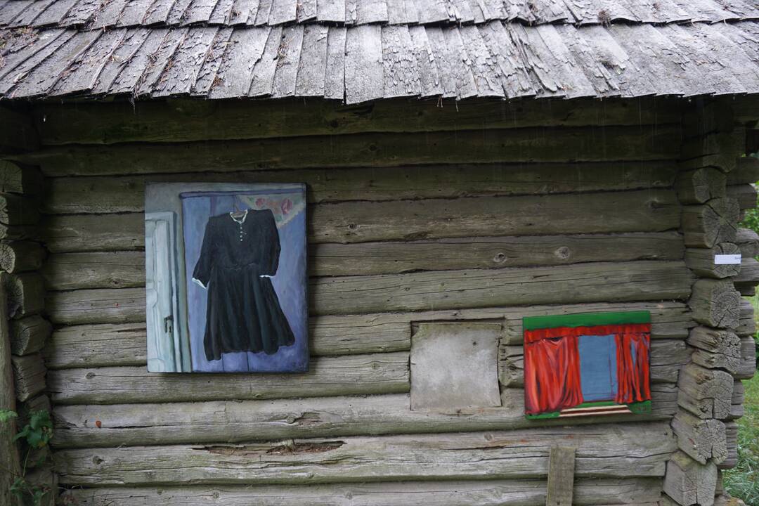 Ievos Tulaitės ekspozicija.