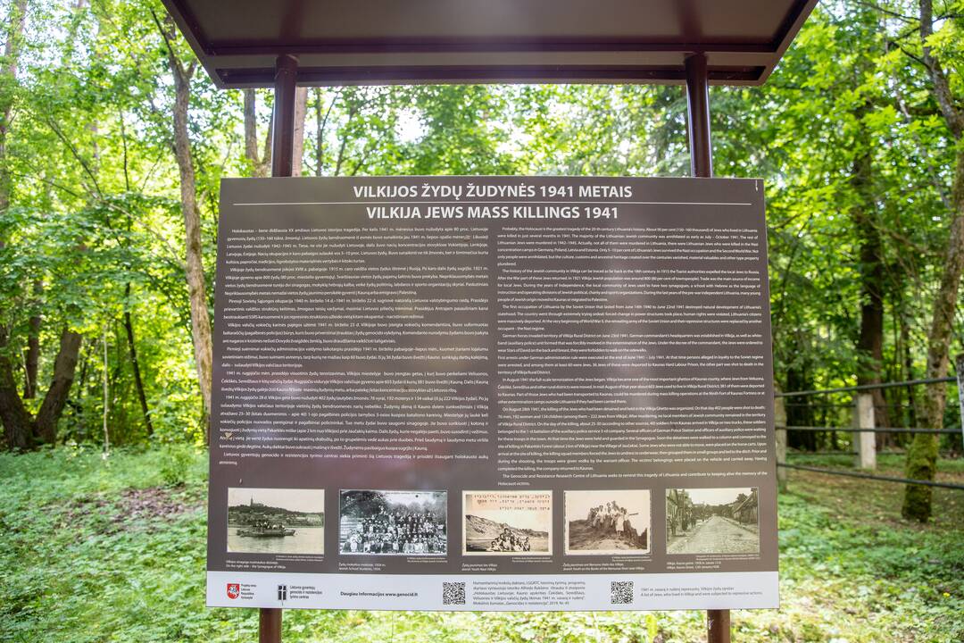 Pokytis: vietoje avarinės būklės paminklo ketinama pastatyti akmens monumentą.