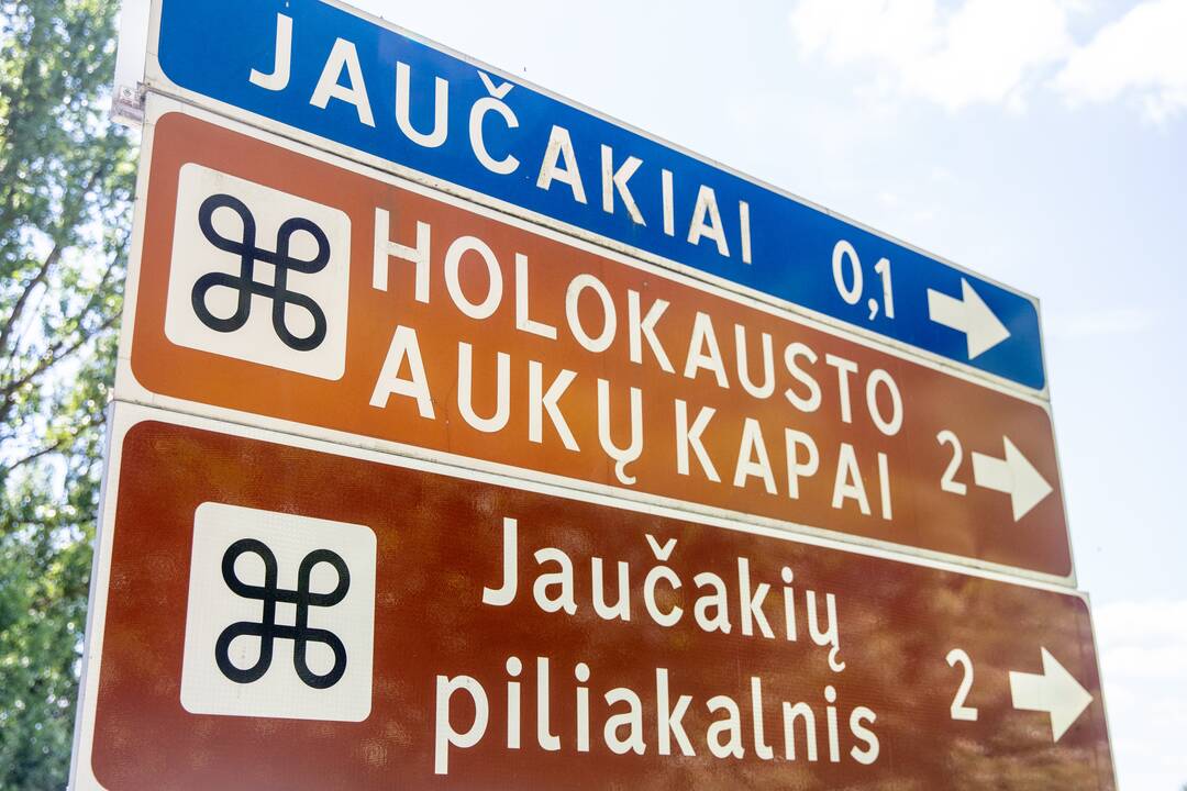 Pokytis: vietoje avarinės būklės paminklo ketinama pastatyti akmens monumentą.