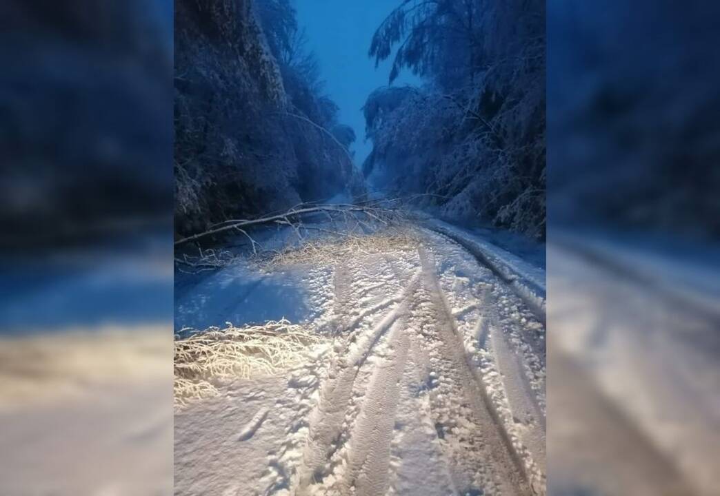 Iškritęs sniegas laužė medžius, nuo kelių slydo automobiliai