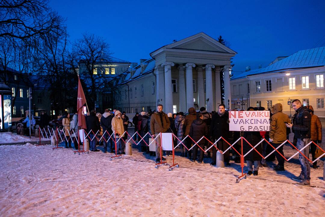 „Basų mamų“ protestas prieš galimybių pasą vaikams