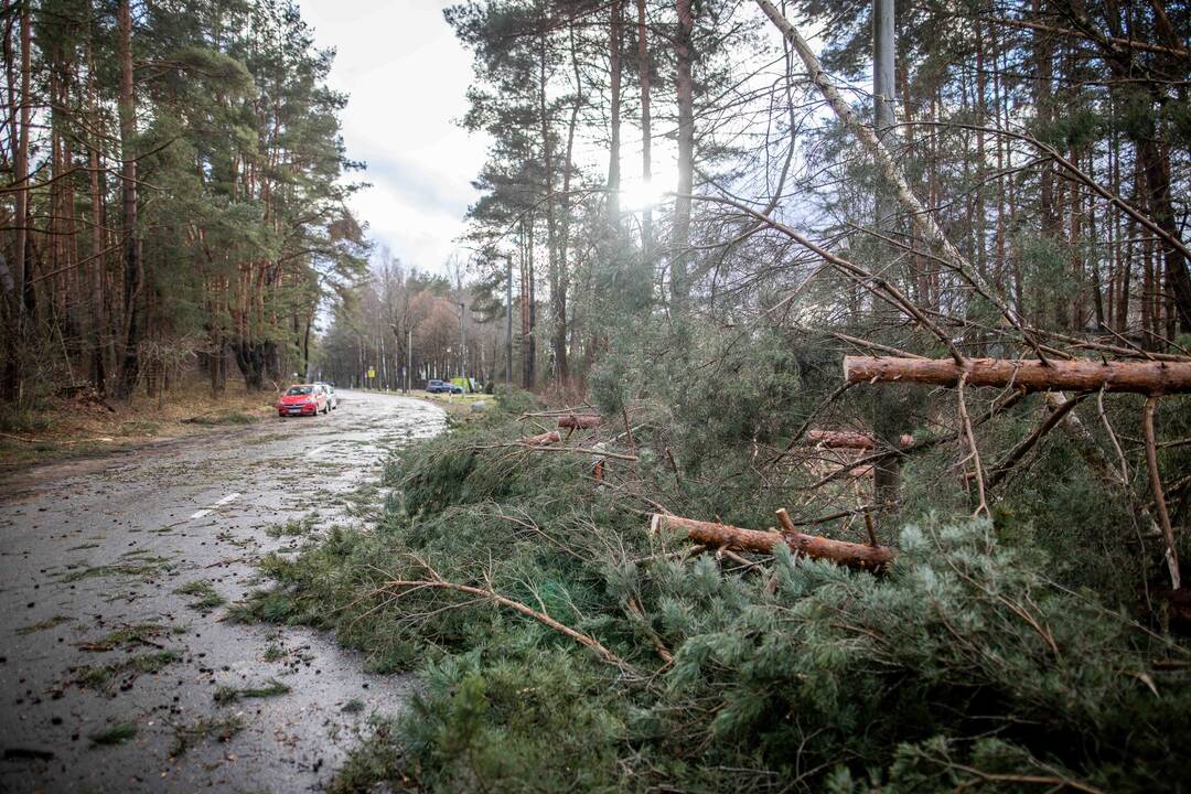 Kelininkai perspėja: naktį eismo sąlygas sunkins plikledis ir gūsingas vėjas