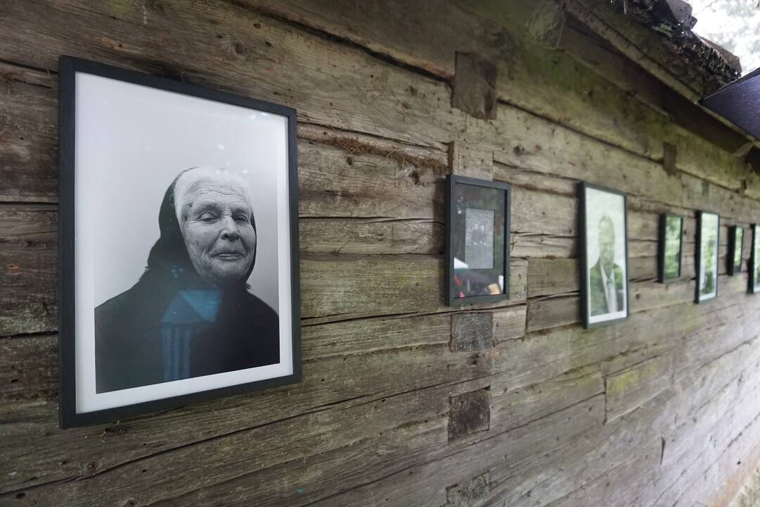 Ievos Tulaitės ekspozicija.