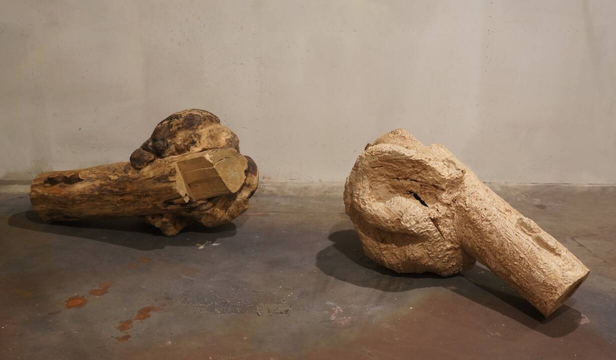 „Vakcina“
