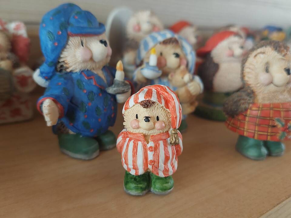 Šeima: K. ir S. Smyslovai jau dvylika metų kartu, tiek metų bendrai kaupia ežių kolekciją.