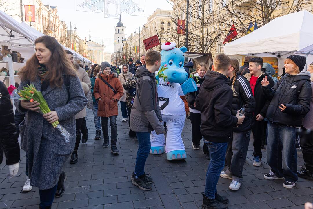  Teatralizuotos šv. Kazimiero eitynės Vilniuje