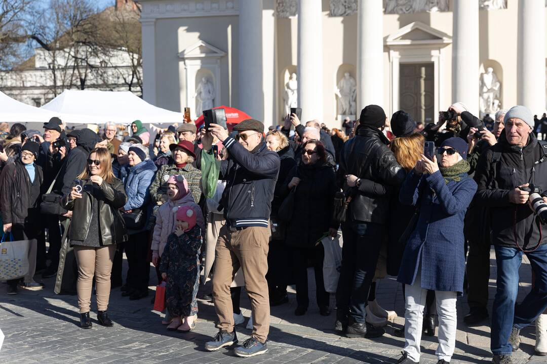  Teatralizuotos šv. Kazimiero eitynės Vilniuje