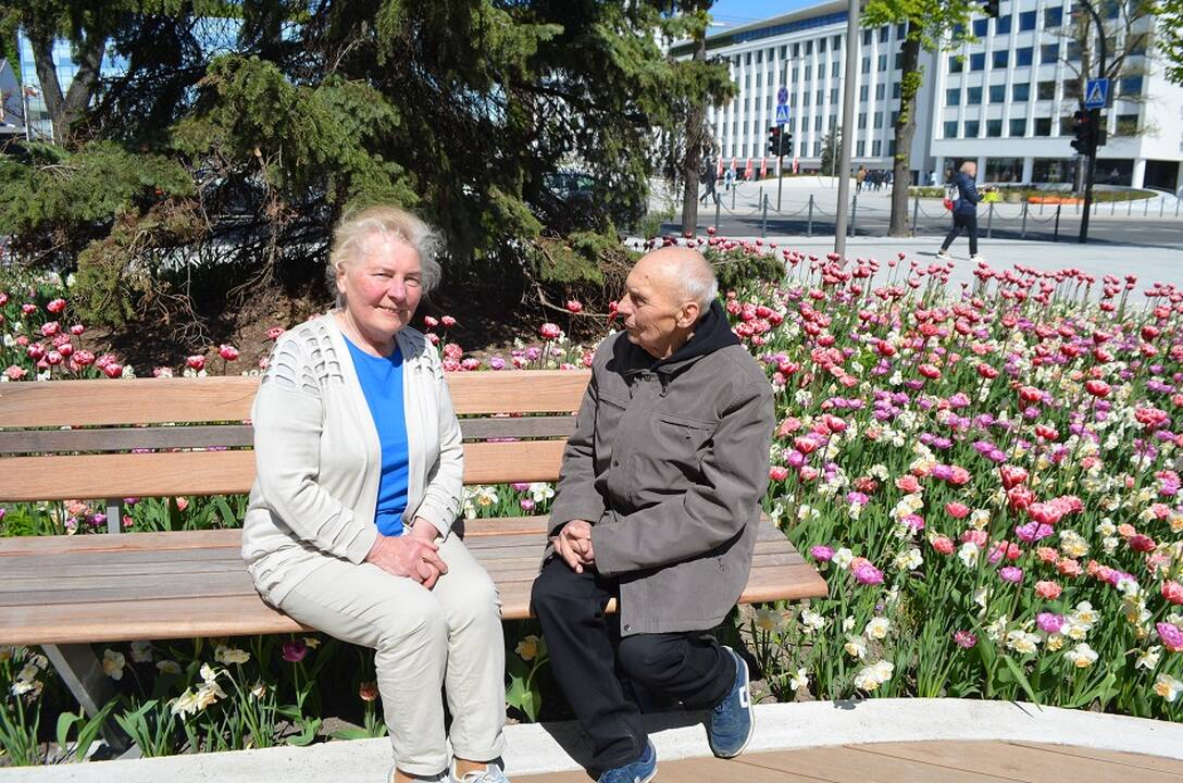 Pasirinko: šis tulpėmis pražydęs Studentų skveras Kaune labai patinka ir Aldonai, ir Kazimierui – jie patys nurodė šią vietą nuotraukai. 2023 m. gegužė.  
