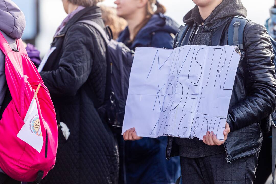 Nuo Klaipėdos į Vilnių žygiuojantys mokytojai pasiekė sostinę