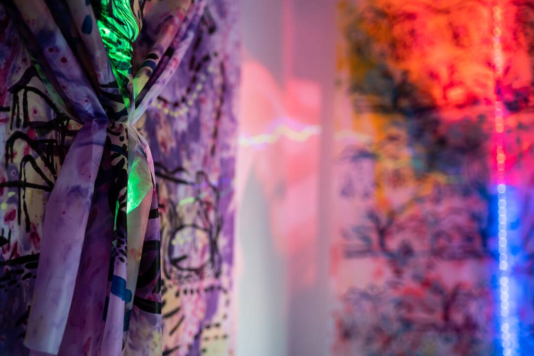 Perspektyva: M. Griniuk projektas „Techno-voyeurism into a reflexive painting“.