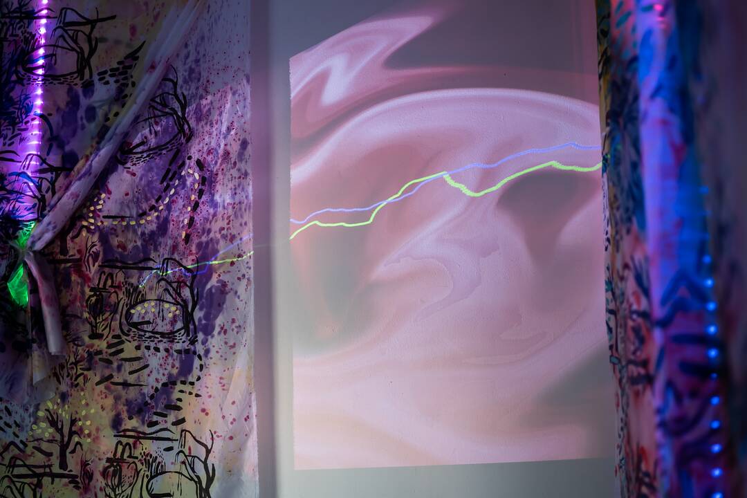 Perspektyva: M. Griniuk projektas „Techno-voyeurism into a reflexive painting“.