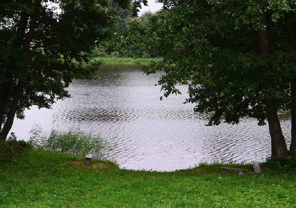 Ežere Rokiškio rajone rastas skenduolis