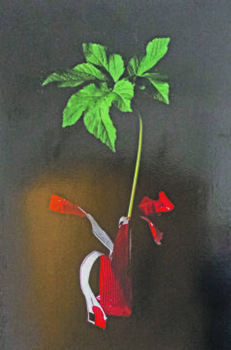 Roberta Krisnickaitė „Vilties sparnai“.