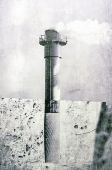 Roberta Krisnickaitė „Vilties sparnai“.