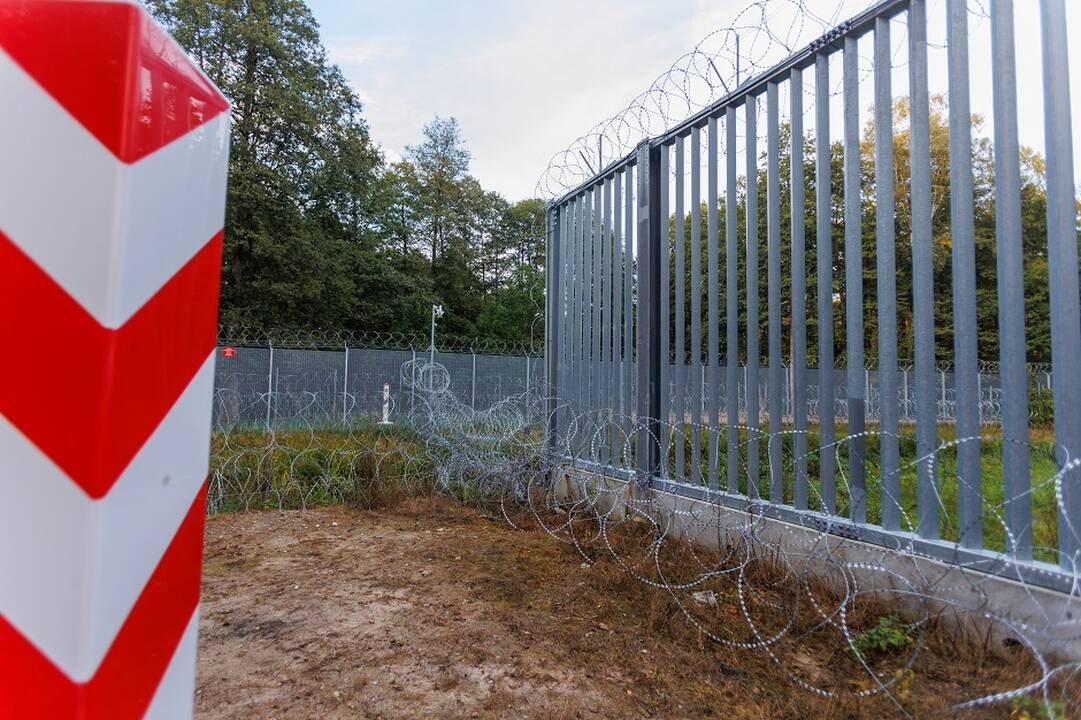 VSAT: pasienyje su Baltarusija apgręžtas 21 neteisėtas migrantas 