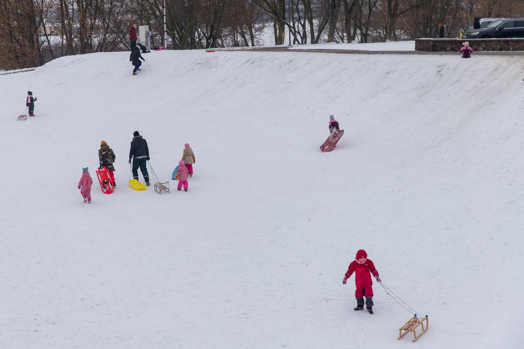 Žiemos linksmybės su rogutėmis