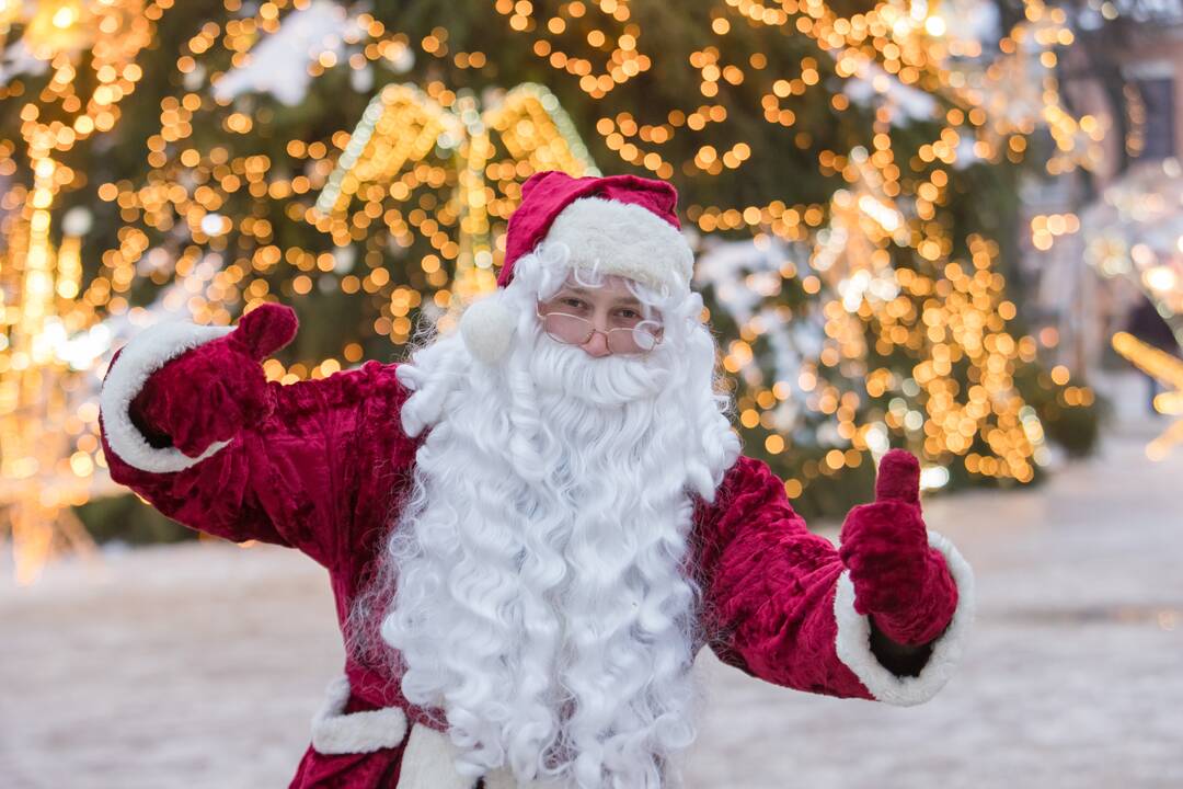 Kaune dalijamos eglės šakos