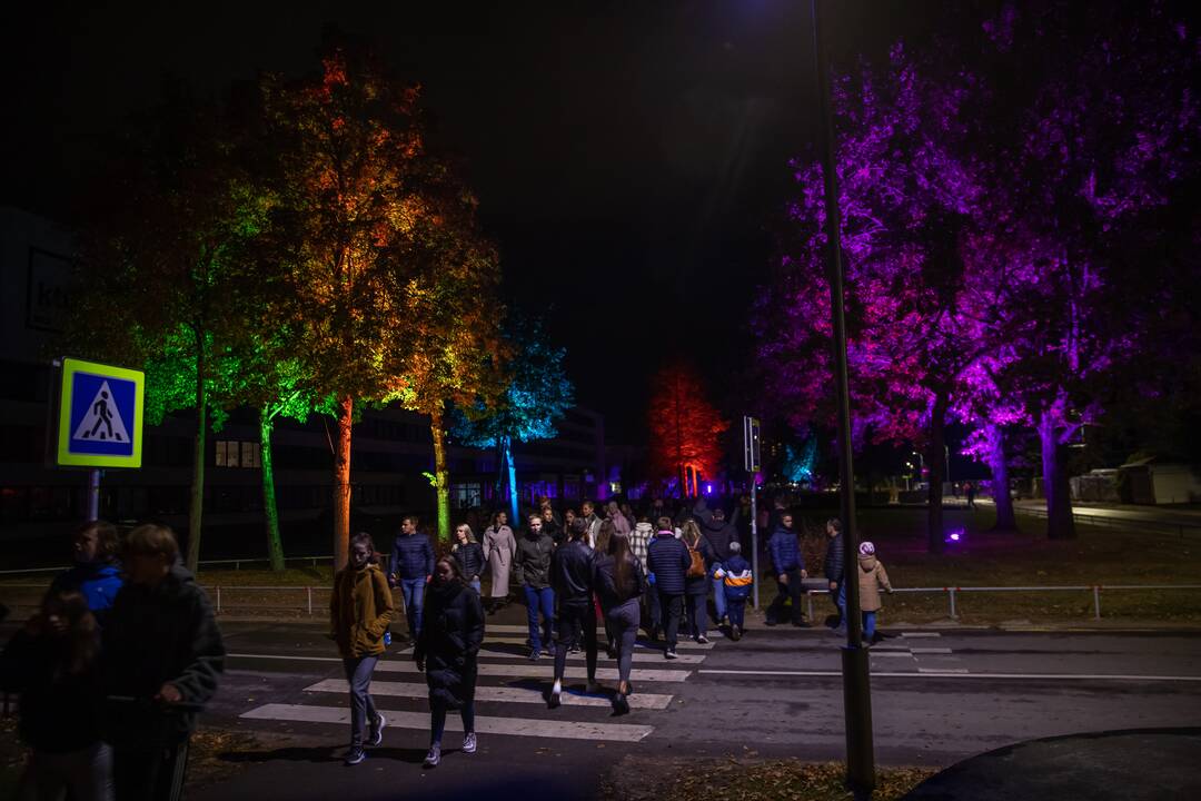 Kaune prasidėjo „Šviesų festivalis“