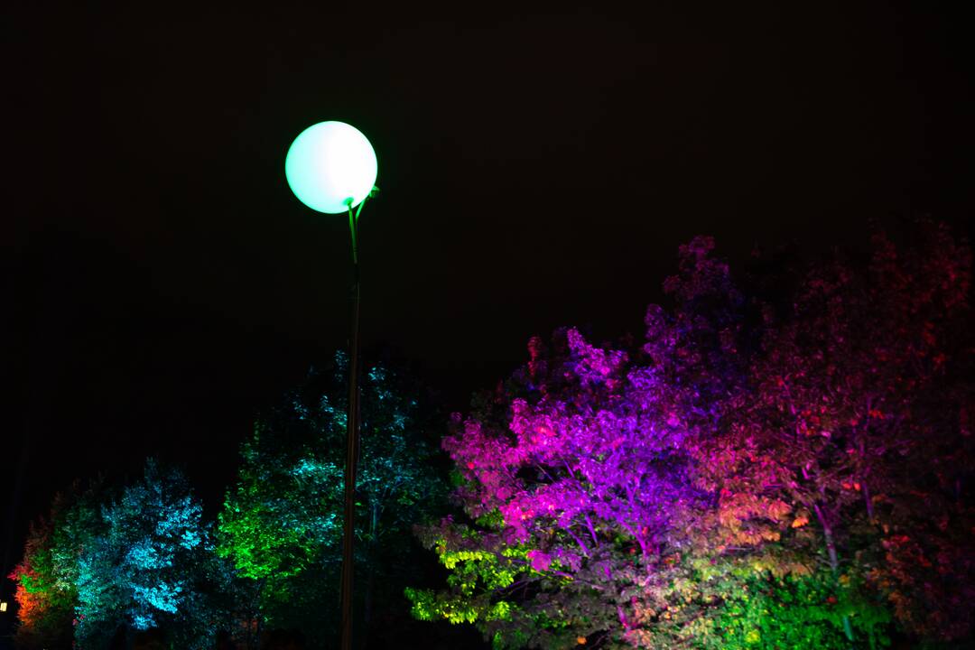 Kaune prasidėjo „Šviesų festivalis“