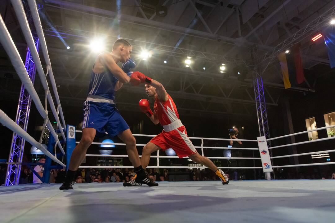 Bokso mačas „United Punch“